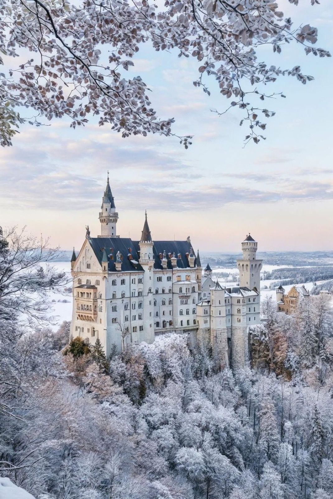 Neuschwanstein